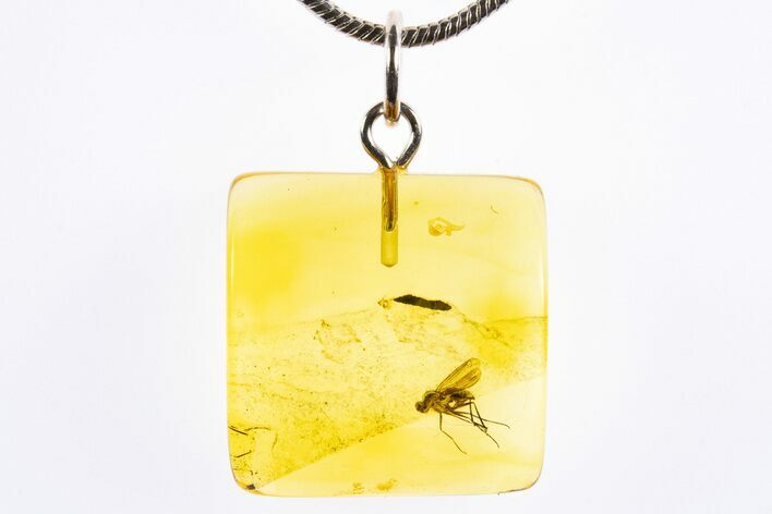 Polished Baltic Amber Pendant (Necklace) - Contains Fly! #322039